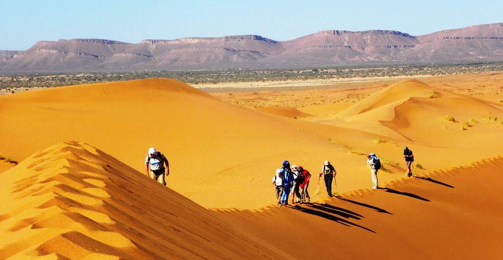 Camel trek in the Sahara desert