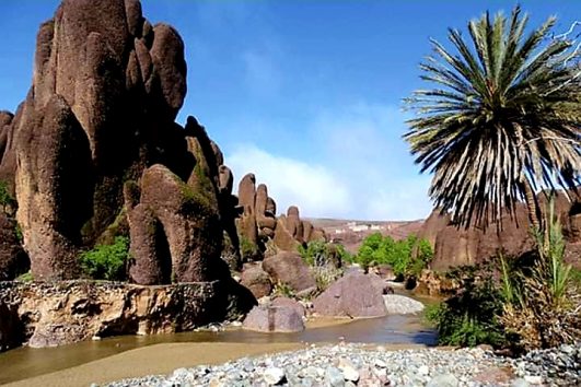 oasis palm Sirwa mountain